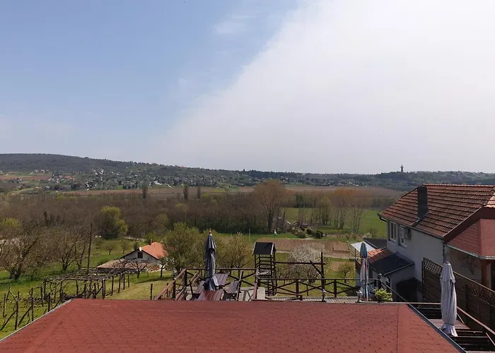 別荘 Vilmos Pince Fogado